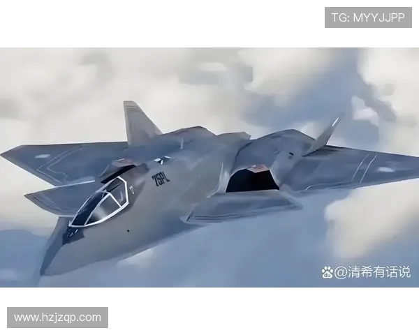 战斗机外挂架对飞行气动性能的影响