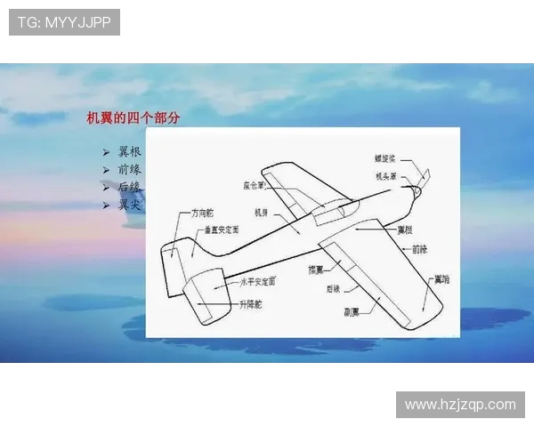飞机机身结构的抗鸟击性能评估